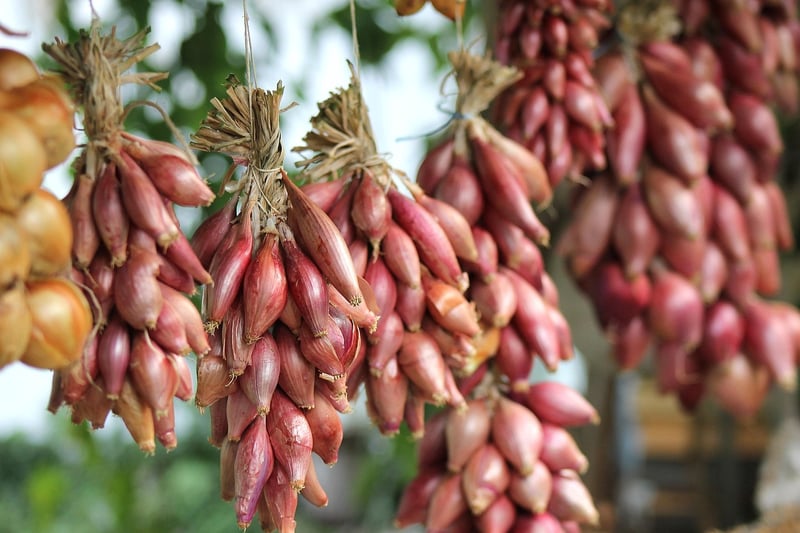 Organic Gardening Events